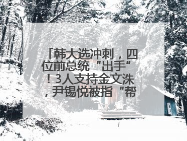 韩大选冲刺，四位前总统“出手”！3人支持金文洙，尹锡悦被指“帮倒忙”