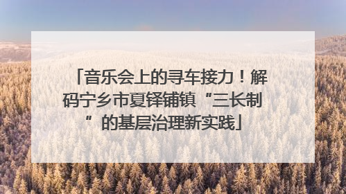 音乐会上的寻车接力！解码宁乡市夏铎铺镇“三长制”的基层治理新实践
