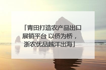 青田打造农产品出口展销平台 以侨为桥，浙农优品越洋出海
