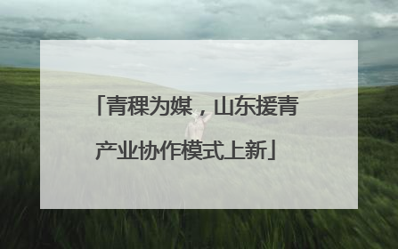 青稞为媒，山东援青产业协作模式上新