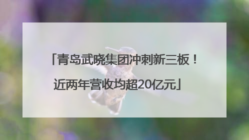 青岛武晓集团冲刺新三板！近两年营收均超20亿元
