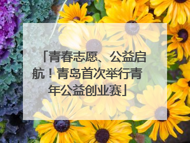青春志愿、公益启航！青岛首次举行青年公益创业赛