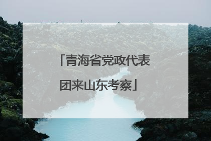 青海省党政代表团来山东考察