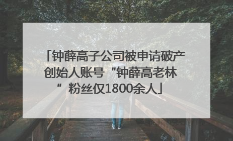 钟薛高子公司被申请破产 创始人账号“钟薛高老林”粉丝仅1800余人
