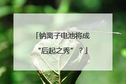 钠离子电池将成“后起之秀”？