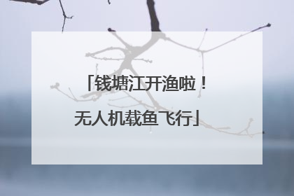钱塘江开渔啦！无人机载鱼飞行