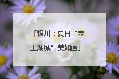 银川：夏日“塞上湖城”美如画