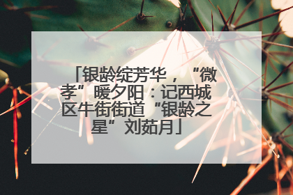 银龄绽芳华，“微孝”暖夕阳：记西城区牛街街道“银龄之星”刘茹月