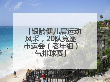 银龄健儿展运动风采，20队竞逐市运会（老年组）气排球赛