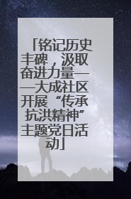 铭记历史丰碑，汲取奋进力量——大成社区开展“传承抗洪精神”主题党日活动