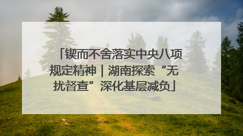 锲而不舍落实中央八项规定精神｜湖南探索“无扰督查”深化基层减负