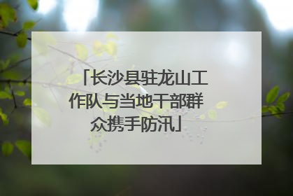 长沙县驻龙山工作队与当地干部群众携手防汛