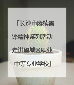 长沙市赓续雷锋精神系列活动走进望城区职业中等专业学校