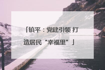 镇平：党建引领 打造居民“幸福里”