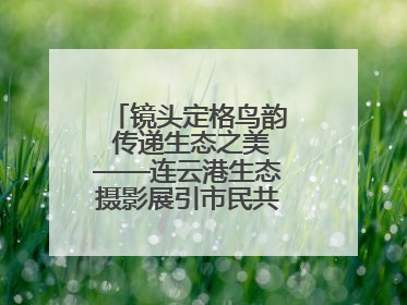 镜头定格鸟韵 传递生态之美——连云港生态摄影展引市民共赏自然之魅