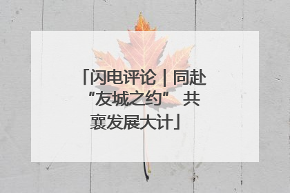 闪电评论｜同赴“友城之约” 共襄发展大计