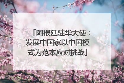 阿根廷驻华大使：发展中国家以中国模式为范本应对挑战