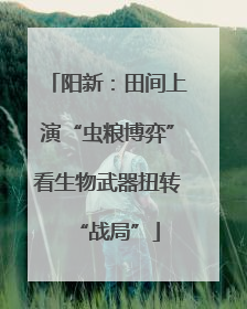 阳新：田间上演“虫粮博弈”看生物武器扭转“战局”