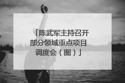 陈武军主持召开部分领域重点项目调度会（图）