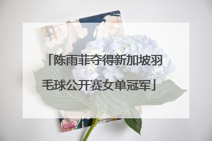 陈雨菲夺得新加坡羽毛球公开赛女单冠军