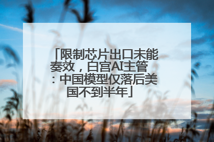 限制芯片出口未能奏效，白宫AI主管：中国模型仅落后美国不到半年