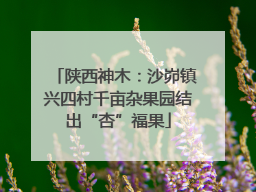 陕西神木：沙峁镇兴四村千亩杂果园结出“杏”福果