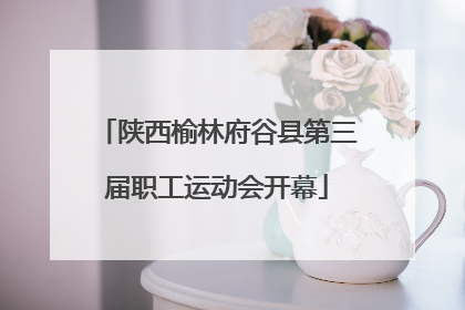 陕西榆林府谷县第三届职工运动会开幕