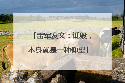 雷军发文：诋毁，本身就是一种仰望
