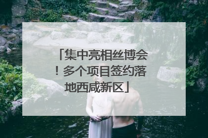 集中亮相丝博会！多个项目签约落地西咸新区