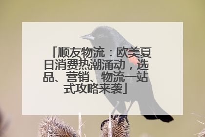 顺友物流：欧美夏日消费热潮涌动，选品、营销、物流一站式攻略来袭