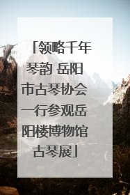 领略千年琴韵 岳阳市古琴协会一行参观岳阳楼博物馆古琴展
