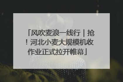 风吹麦浪一线行｜抢！河北小麦大规模机收作业正式拉开帷幕