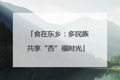 食在东乡：多民族共享“杏”福时光