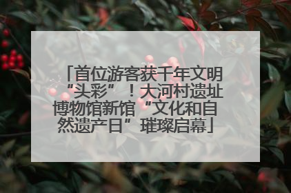 首位游客获千年文明“头彩”！大河村遗址博物馆新馆“文化和自然遗产日”璀璨启幕