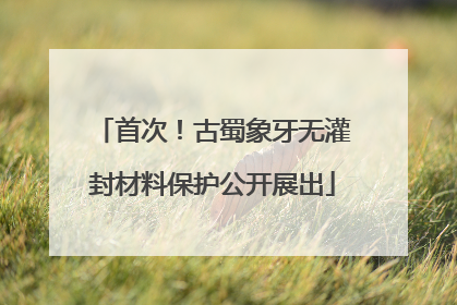 首次！古蜀象牙无灌封材料保护公开展出