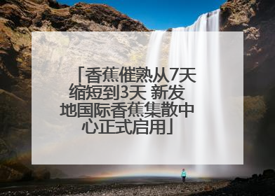 香蕉催熟从7天缩短到3天 新发地国际香蕉集散中心正式启用