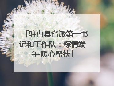 驻曹县省派第一书记和工作队：粽情端午·暖心帮扶