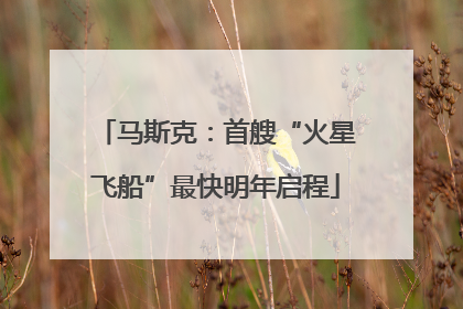 马斯克：首艘“火星飞船”最快明年启程