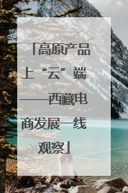 高原产品上“云”端——西藏电商发展一线观察