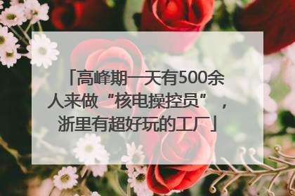 高峰期一天有500余人来做“核电操控员”，浙里有超好玩的工厂
