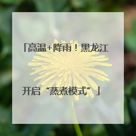 高温+降雨！黑龙江开启“蒸煮模式”