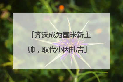 齐沃成为国米新主帅，取代小因扎吉