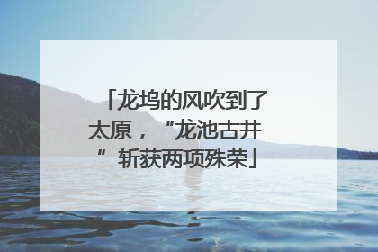 龙坞的风吹到了太原，“龙池古井”斩获两项殊荣