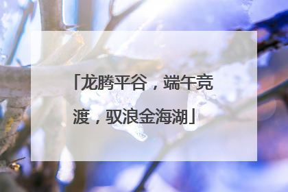 龙腾平谷，端午竞渡，驭浪金海湖