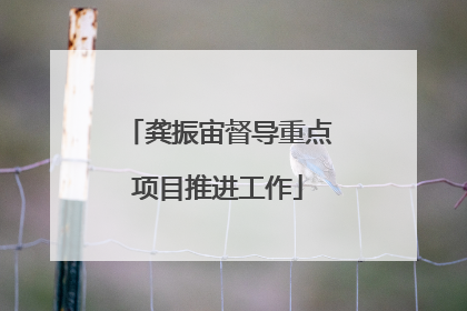 龚振宙督导重点项目推进工作