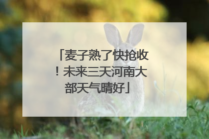 麦子熟了快抢收！未来三天河南大部天气晴好