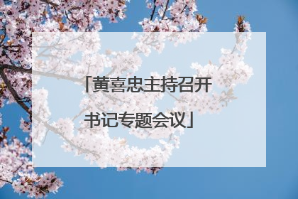 黄喜忠主持召开书记专题会议