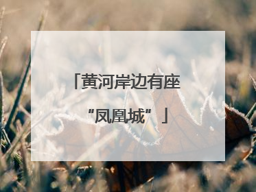 黄河岸边有座“凤凰城”