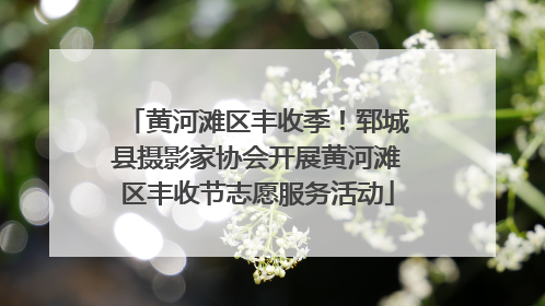 黄河滩区丰收季！郓城县摄影家协会开展黄河滩区丰收节志愿服务活动