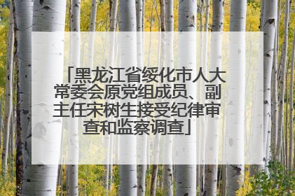 黑龙江省绥化市人大常委会原党组成员、副主任宋树生接受纪律审查和监察调查